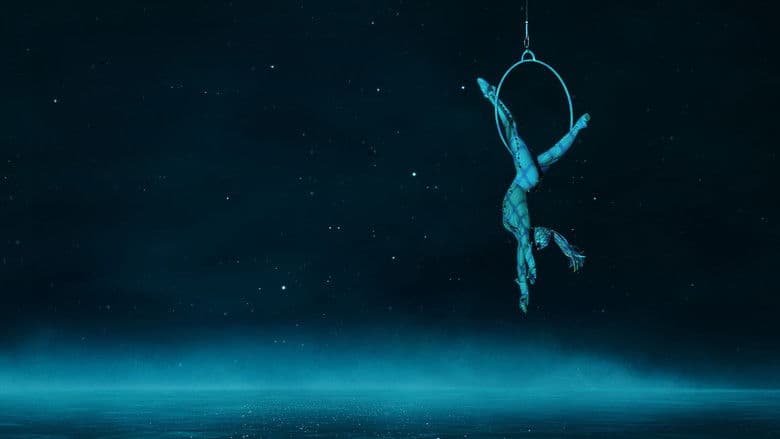 Cirque du Soleil: Without a Net