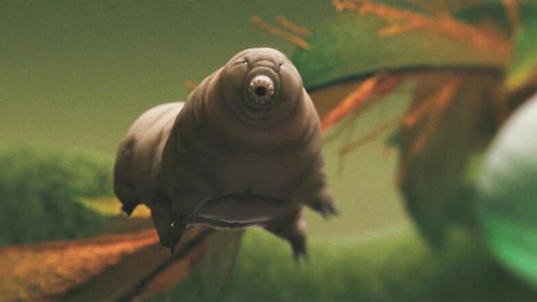 Tiny and Tough - The Incredible Resilience of Tardigrades