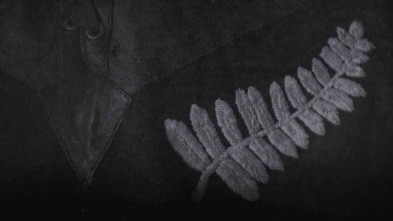 All Blacks at War