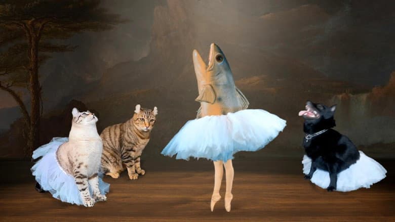 The Battle for Swan Lake