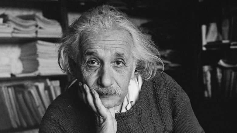 Einstein's Universe